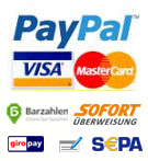 Métodos de pago en la tienda en línea fiat500126.com