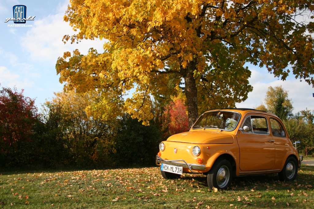 Meine Fiat 500 - eine Geschichte von Martina Diebold