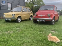 Fiat 500 und Fiat 126