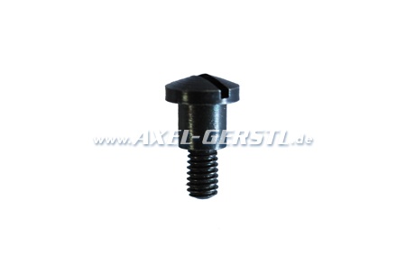 Screw for distributor cap mounting