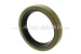 Radial shaft seal ring for rear wheel bearing