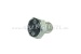 Screw for brake cylinder mounting, M6 x 8 mm